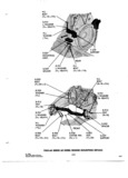 Previous Page - Parts and Accessories Catalog 31 January 1964